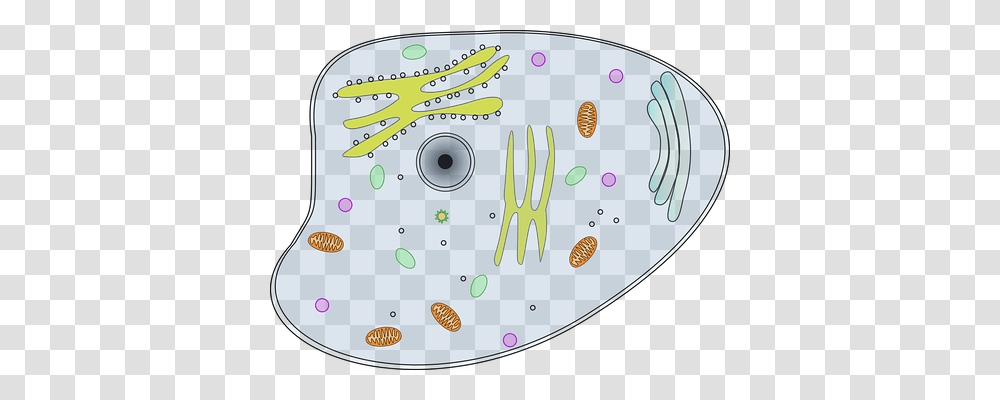 View Technology, Disk, Meal, Dish Transparent Png