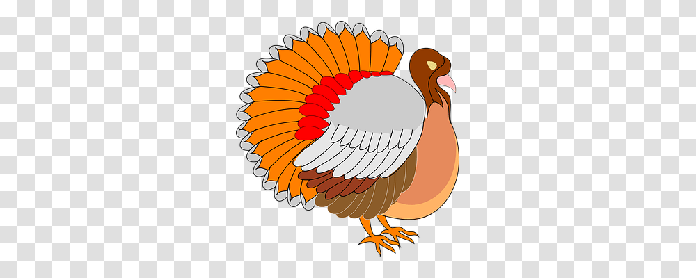 View Animals, Bird, Pheasant, Fowl Transparent Png