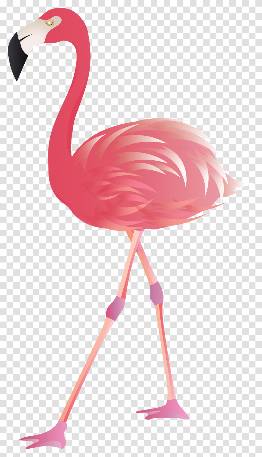 View Full Size Flamingo Background Flamingo, Bird, Animal, Lamp Transparent Png