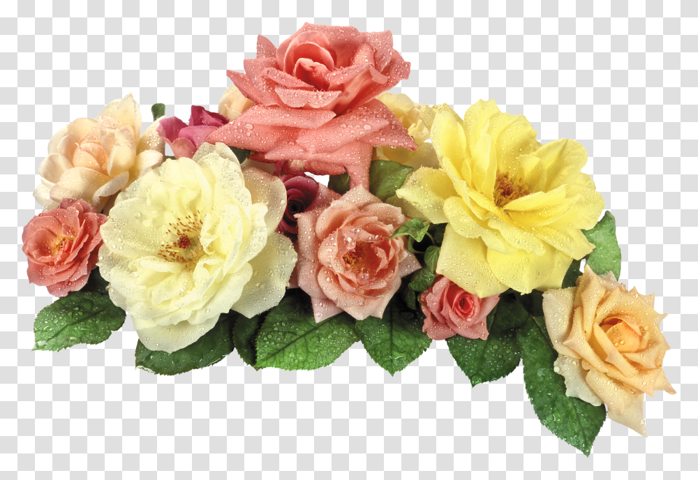 View Full Size Format Flower Hd Transparent Png