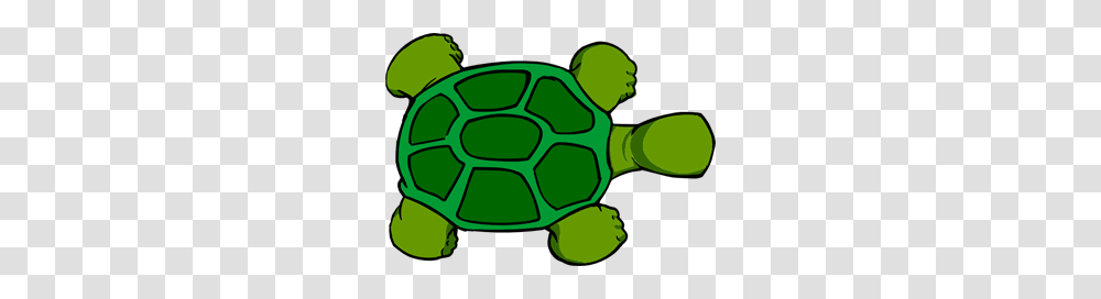 View Images Icon Cliparts, Soccer Ball, Tortoise, Turtle, Sea Life Transparent Png