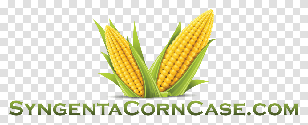 View Larger Image Syngenta Corn Case Corn Hd, Plant, Vegetable, Food, Pineapple Transparent Png