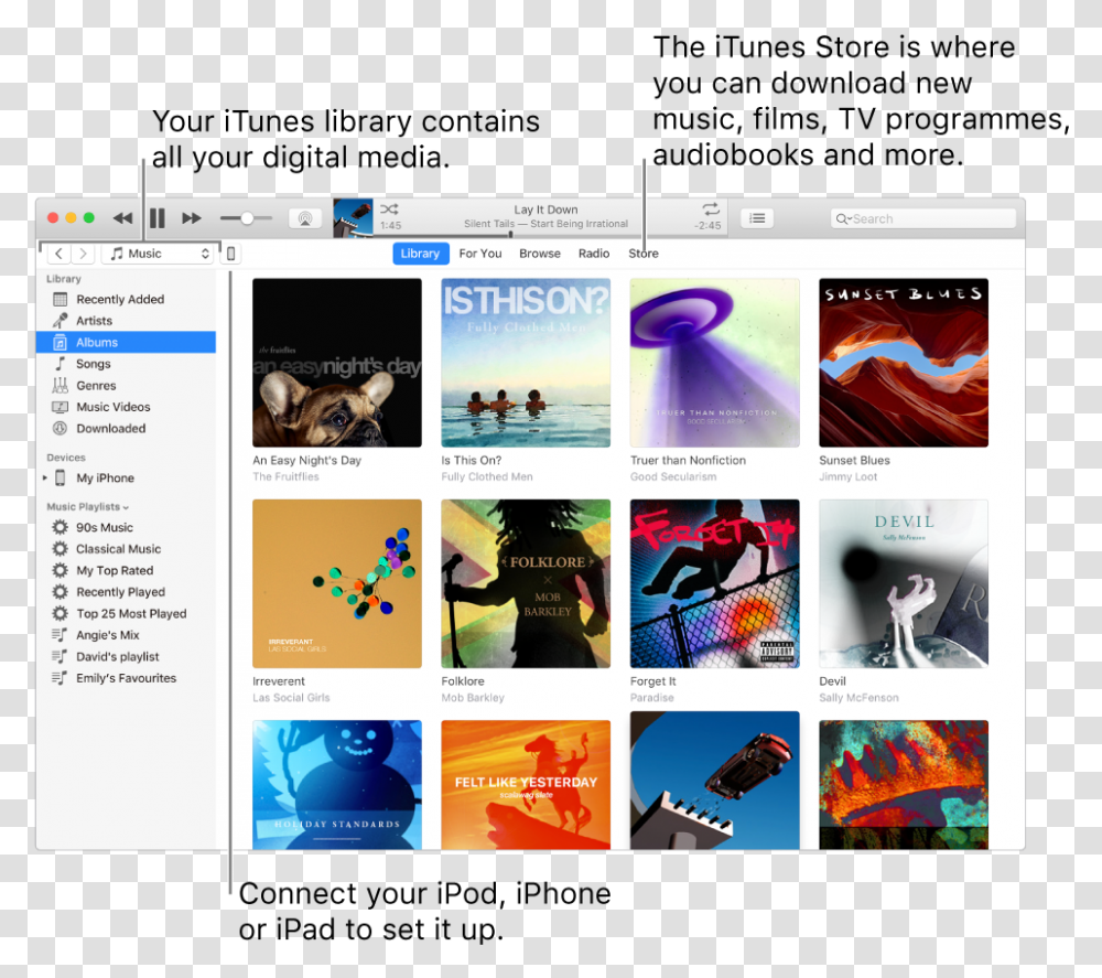View Of The Itunes Window, File, Webpage, Person, Human Transparent Png