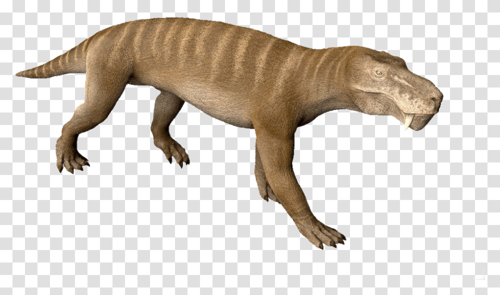 View Samegoogleiqdbsaucenao Orig Gorgonopsid Dinosaur, Animal, Mammal, Bronze, Wildlife Transparent Png