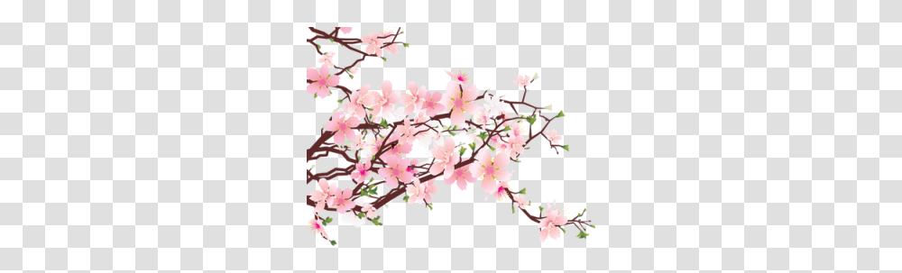 View Topic, Plant, Flower, Blossom, Cherry Blossom Transparent Png