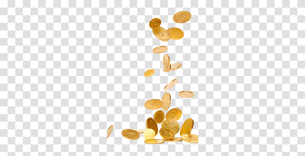 View Topic Signature Palace, Plant, Almond, Nut, Vegetable Transparent Png