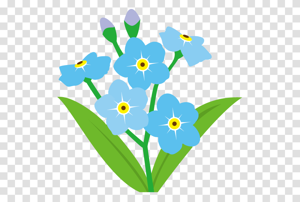 Views Craft Forget Me Not Flower Clipart, Plant, Blossom, Daffodil Transparent Png