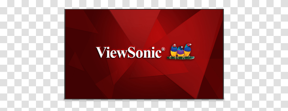 Viewsonic, Bird, Animal, Pac Man, Super Mario Transparent Png