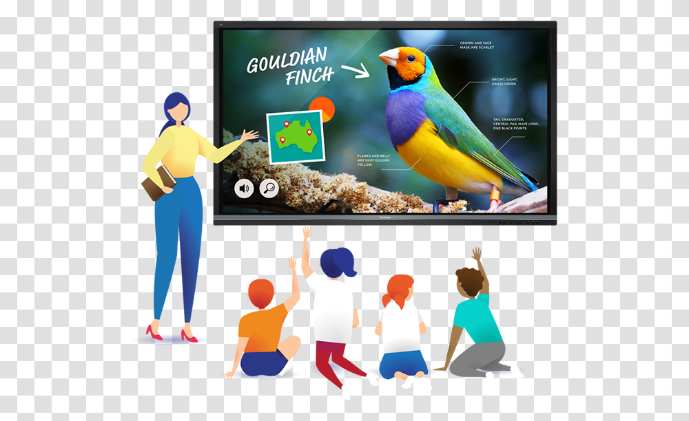 Viewsonic, Bird, Animal, Person, Advertisement Transparent Png