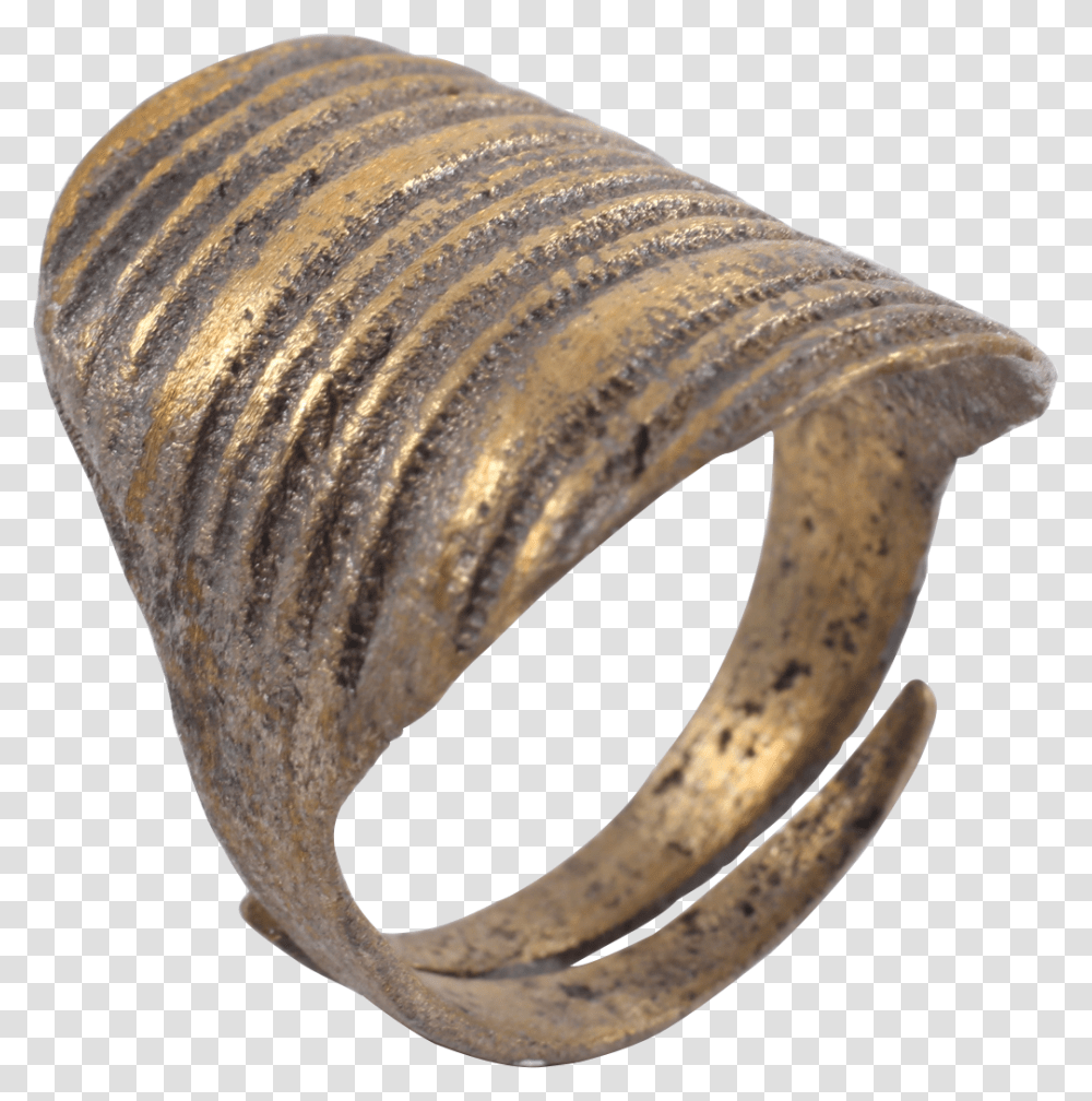 Viking Shield Ring C Bangle, Bronze, Accessories, Accessory, Banana Transparent Png