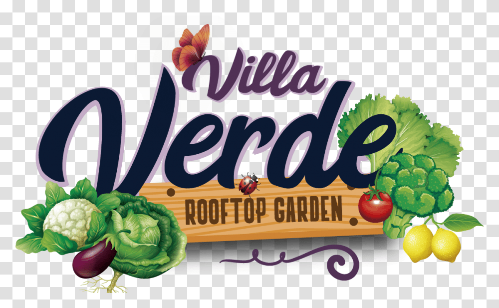 Villa Verde Rooftop Community Garden Seedless Fruit, Plant, Food, Vegetable Transparent Png