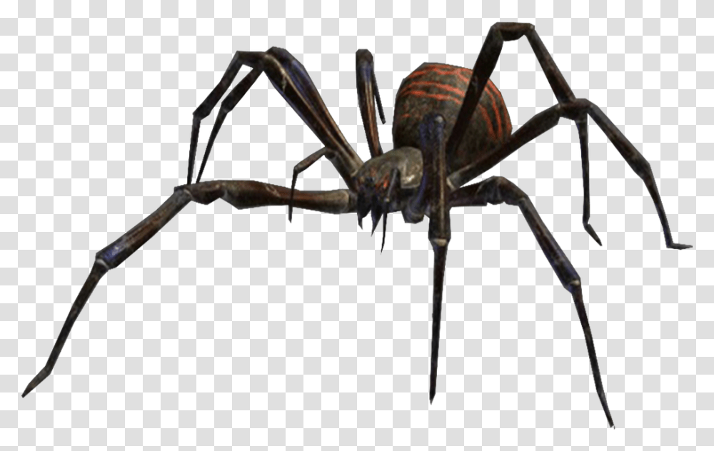 Villains Wiki Spiders Eight Legged Freaks, Invertebrate, Animal, Garden Spider, Insect Transparent Png