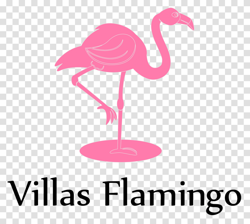 Villas Flamingo Akumal, Bird, Animal, Lamp Transparent Png