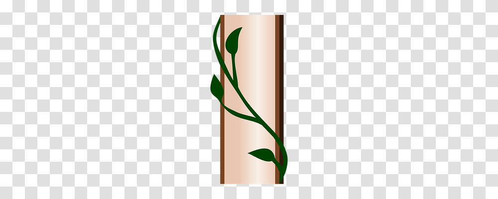 Vine Nature, Plant, Bamboo, Flower Transparent Png