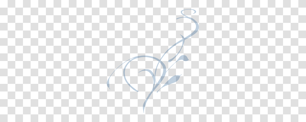 Vine Nature Transparent Png