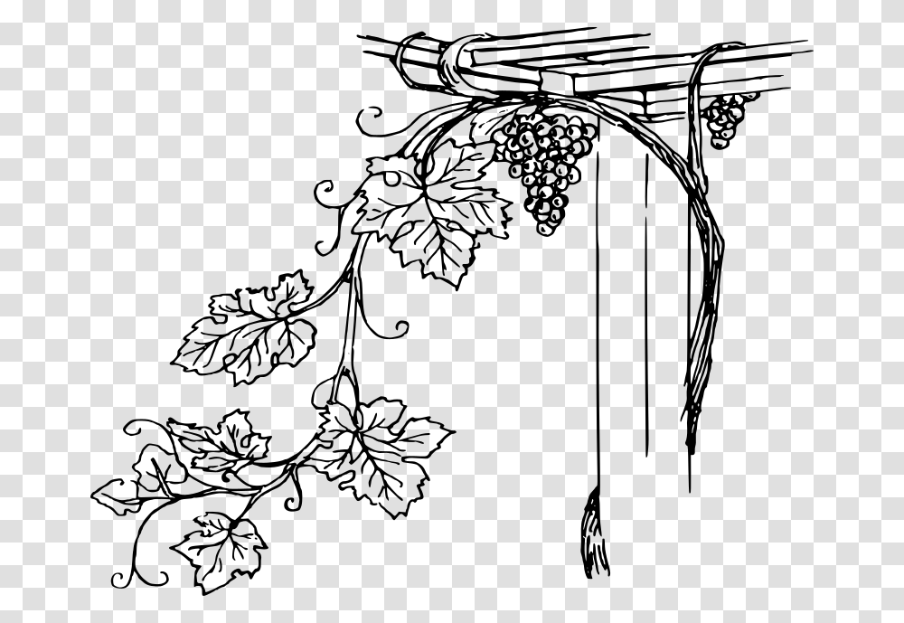 Vine Black And White Clip Art, Gray, World Of Warcraft Transparent Png