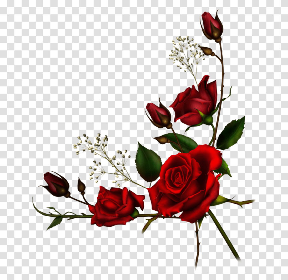 Vine Border Clipart Red Roses Border, Flower, Plant, Blossom, Flower Arrangement Transparent Png