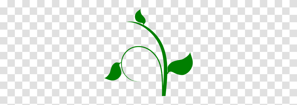 Vine Clip Art, Plant, Green, Flower, Blossom Transparent Png