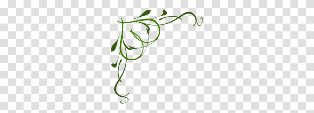 Vine Clip Art, Plant, Jar, Vase Transparent Png