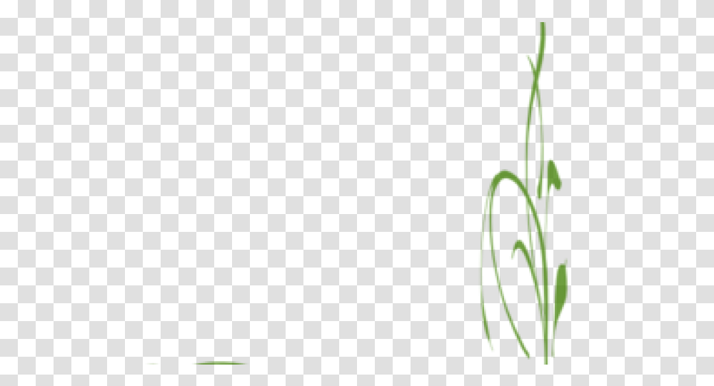 Vine Clipart Grass, Green, Plant, Potted Plant Transparent Png