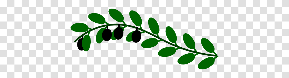 Vine Clipart Olive, Plant, Leaf, Food, Fruit Transparent Png