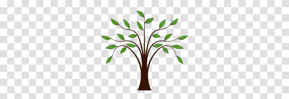 Vine Clipart Tree Vine, Plant, Stencil, Palm Tree, Arecaceae Transparent Png