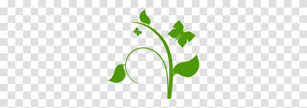 Vine Cliparts, Plant, Leaf, Green, Flower Transparent Png