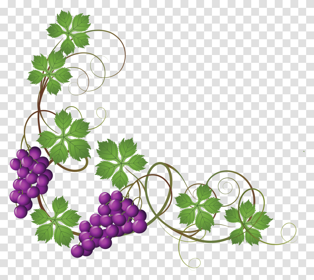 Vine Decoration Grapes On Vine Clipart, Plant, Fruit, Food, Leaf Transparent Png