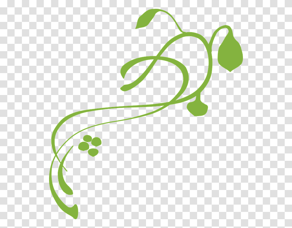Vine Decoration Green Plant Design Floral Vines Clip Art, Floral Design, Pattern, Stencil Transparent Png