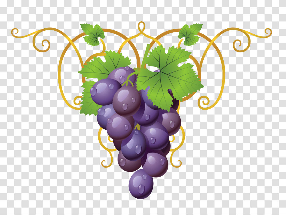 Vine Decorative Element Clipart Gallery, Plant, Grapes, Fruit, Food Transparent Png