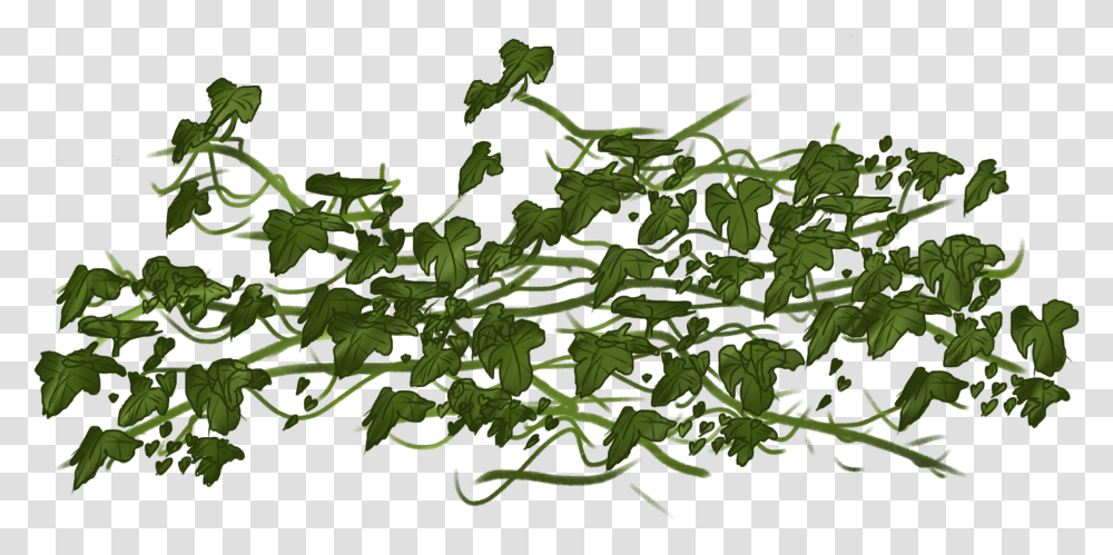 Vine Ivy Clip Art Ivy Vines, Plant, Leaf, Green, Vase Transparent Png
