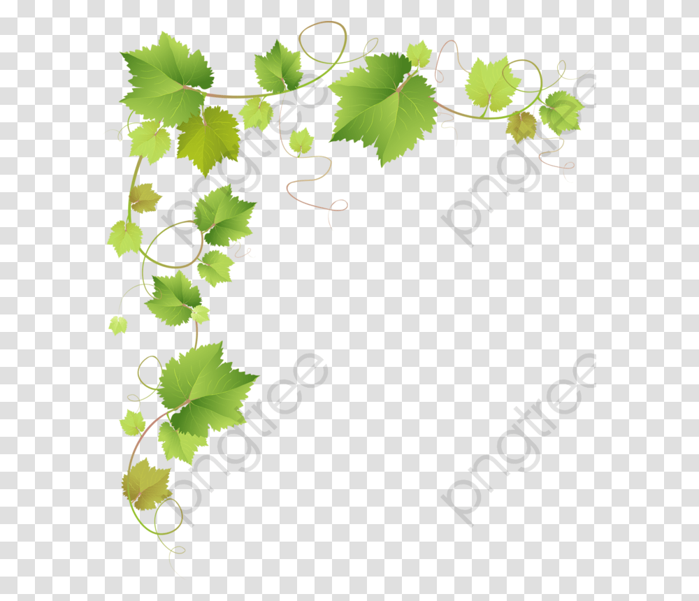 Vine Leaves Background, Leaf, Plant, Tree, Green Transparent Png