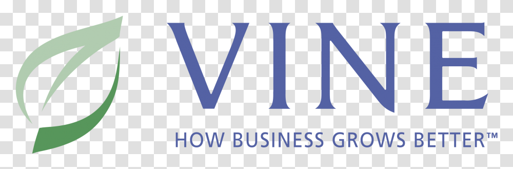 Vine Logo Guitar String, Word, Alphabet, Label Transparent Png