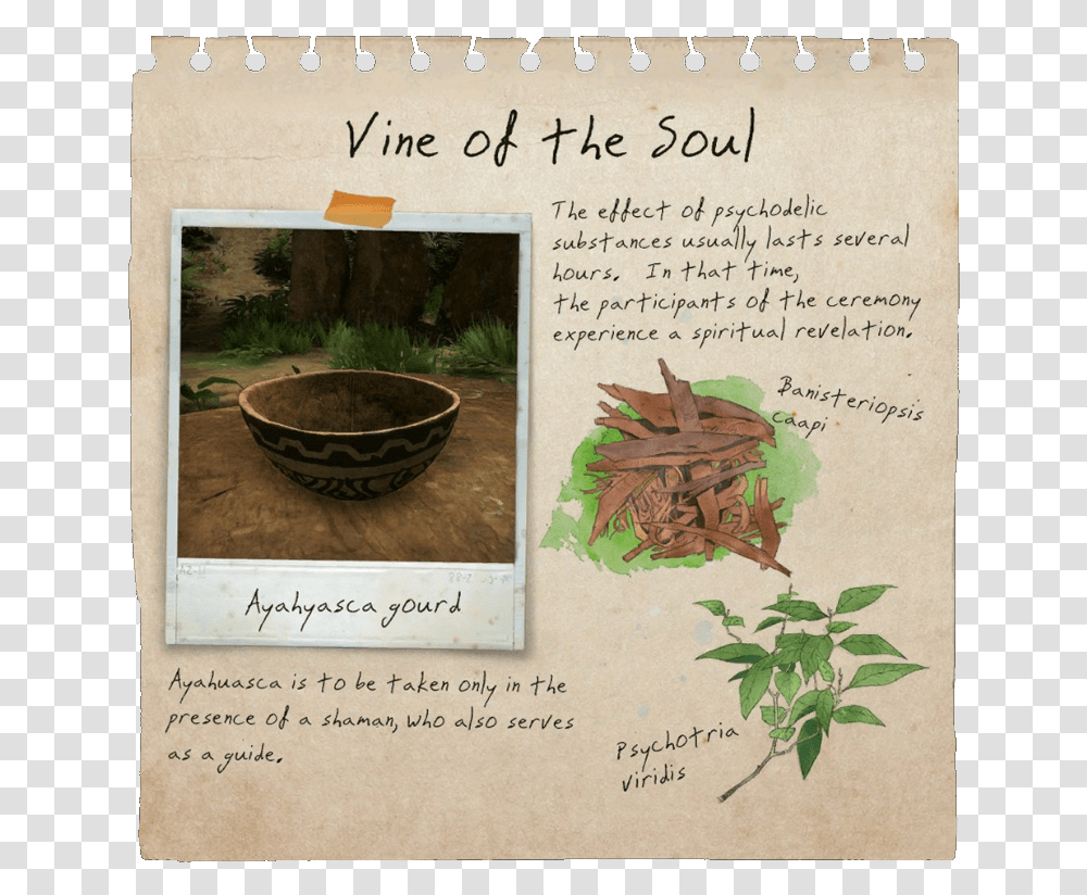 Vine Of Soul Notebook, Bowl, Poster, Advertisement, Flyer Transparent Png