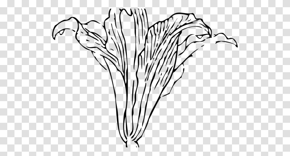 Vine Plant Outline Gray Calla Lily, World Of Warcraft Transparent Png