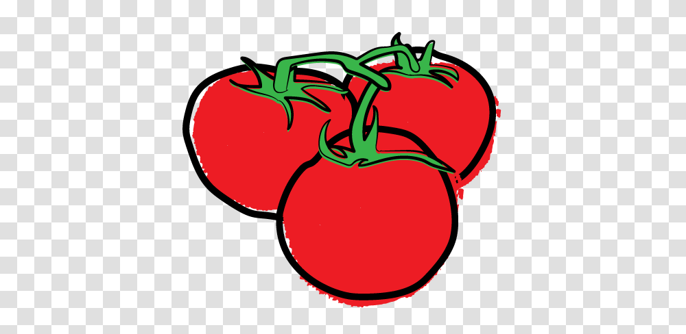 Vine Ripe Tomatoes, Plant, Food, Vegetable, Dynamite Transparent Png
