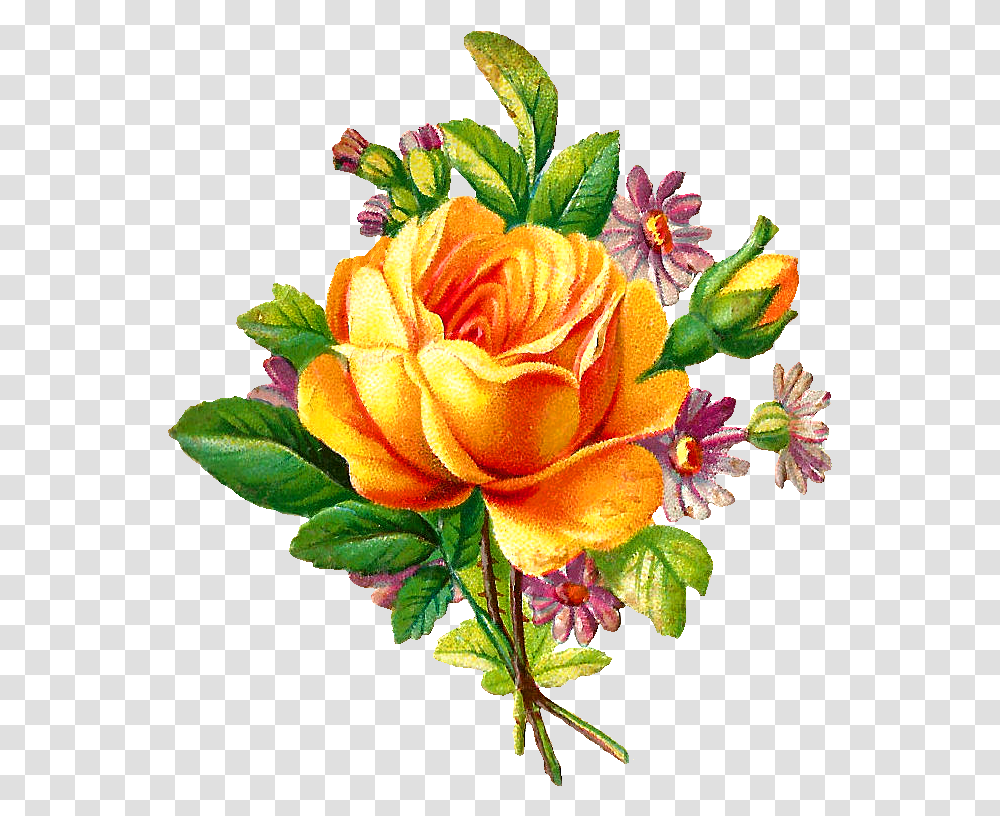 Vine Rose Clip Art Free Best Vine Rose Clip Art On Free Vintage Flower, Plant, Blossom, Flower Bouquet, Flower Arrangement Transparent Png