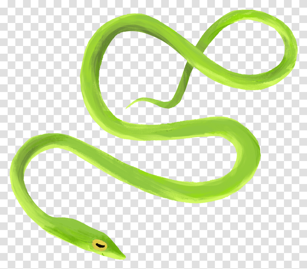 Vine Snake, Reptile, Animal, Green Snake Transparent Png
