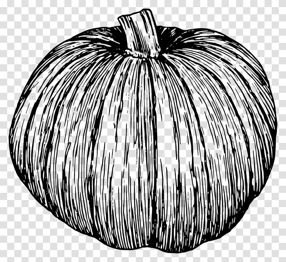 Vine Vector Clipart Of Pumpkins Black And White, Plant, Vegetable, Food, Clam Transparent Png