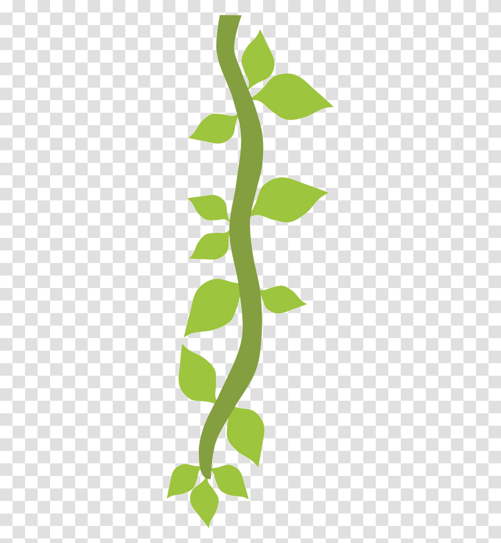 Vines Cartoon, Plant, Leaf, Sprout, Green Transparent Png