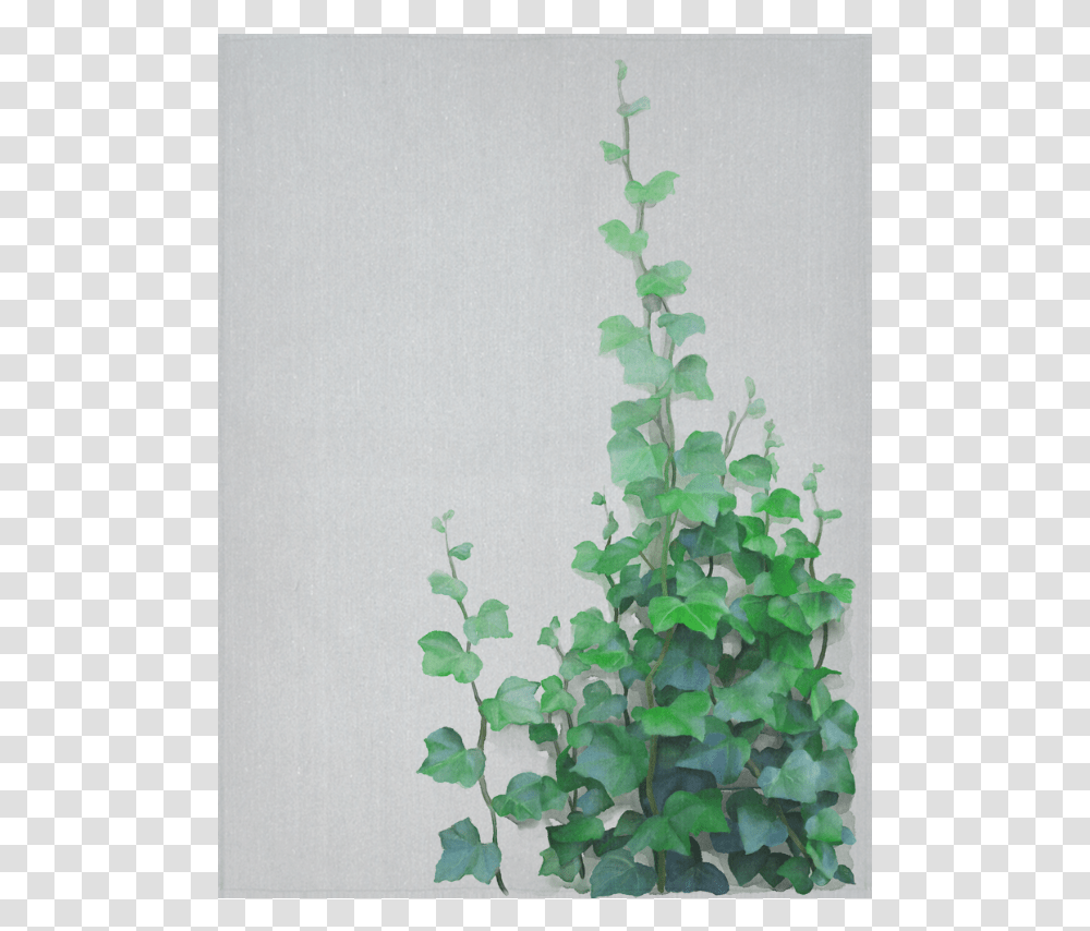 Vines Climbing Plant Cotton Linen Wall Tapestry 60 Watercolor Vines, Ivy Transparent Png