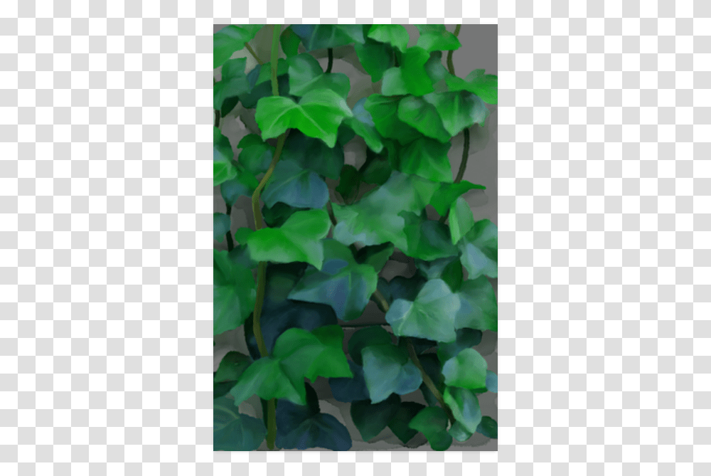 Vines Climbing Plant Poster 20 X30 Climbing Vines Zoom, Ivy, Leaf Transparent Png