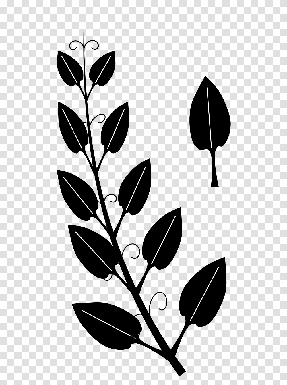 Vines Clipart Black And White, Analog Clock, Number Transparent Png