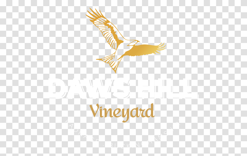 Vineyard Vines Hawk, Bird, Animal, Flying, Eagle Transparent Png