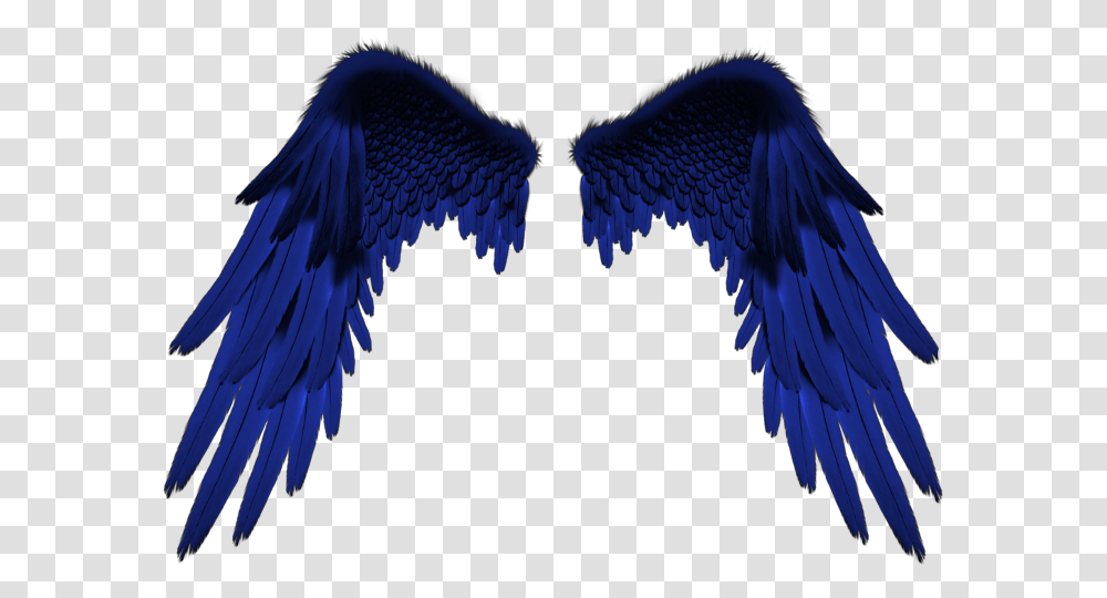 Vingette Wings Pic For Editing, Bird, Animal, Eagle Transparent Png