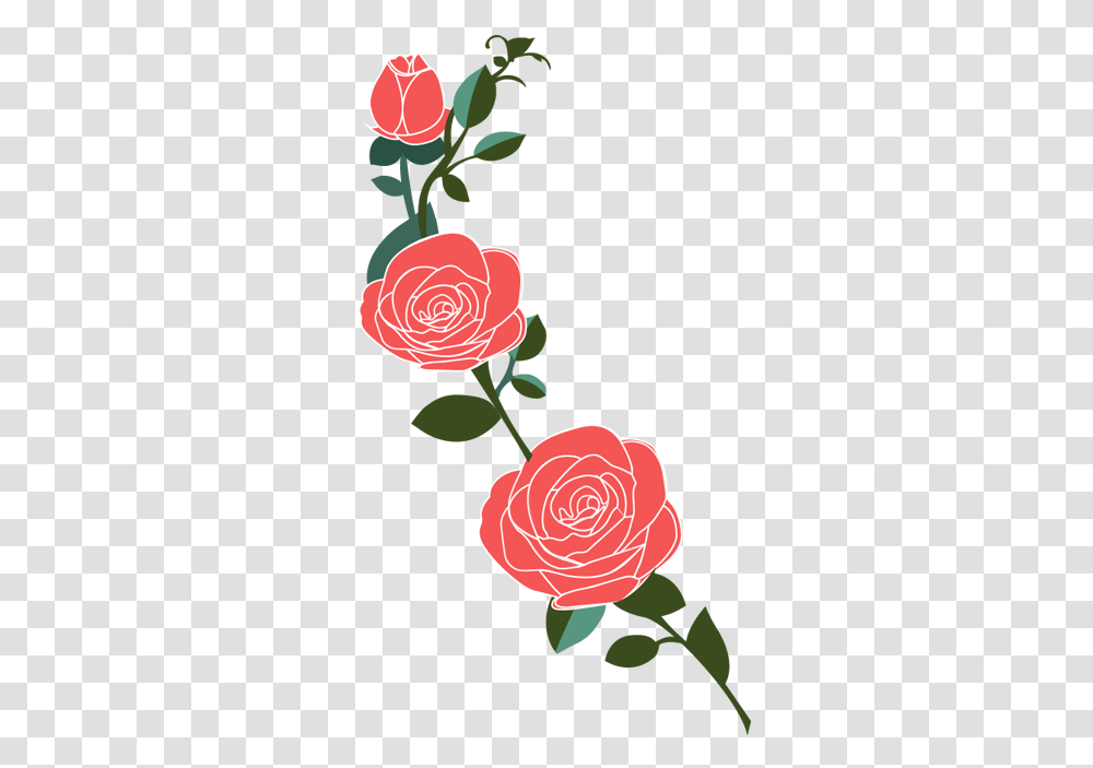 Vinilo Decorativo Rosas, Rose, Flower, Plant, Blossom Transparent Png