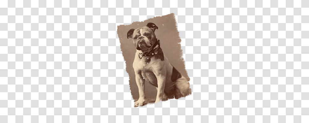 Vintage Person, Dog, Pet, Canine Transparent Png