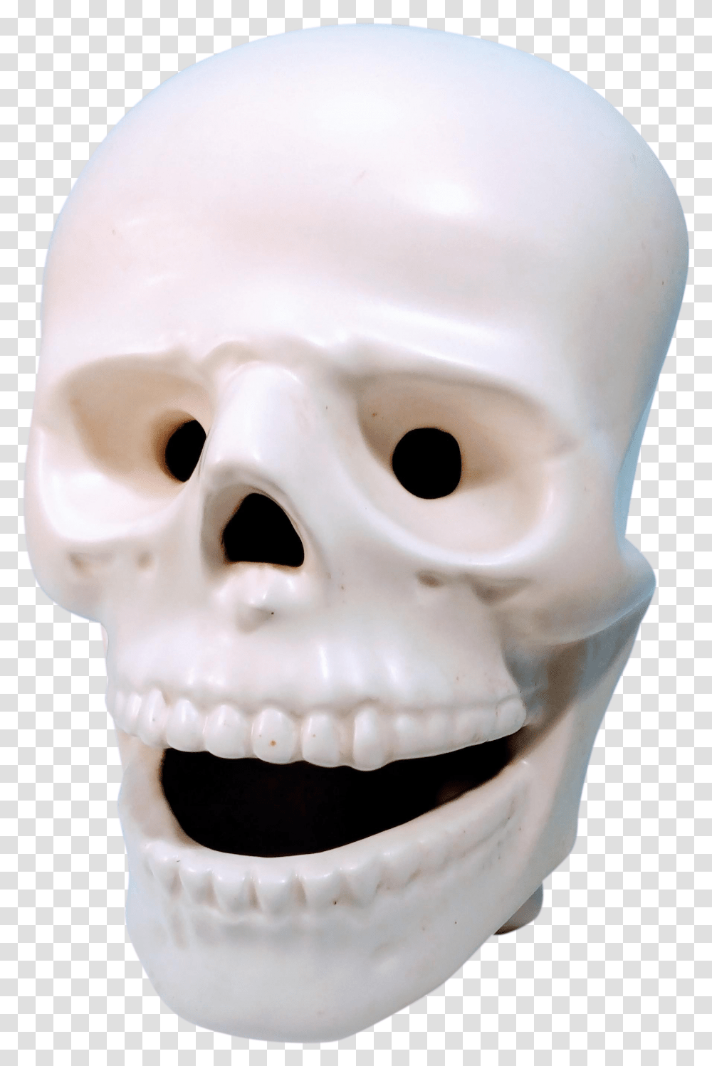 Vintage Atlantic Mold Company Atribued Bone Head Face Facial Skull Skeleton Skull, Snowman, Winter, Outdoors, Nature Transparent Png