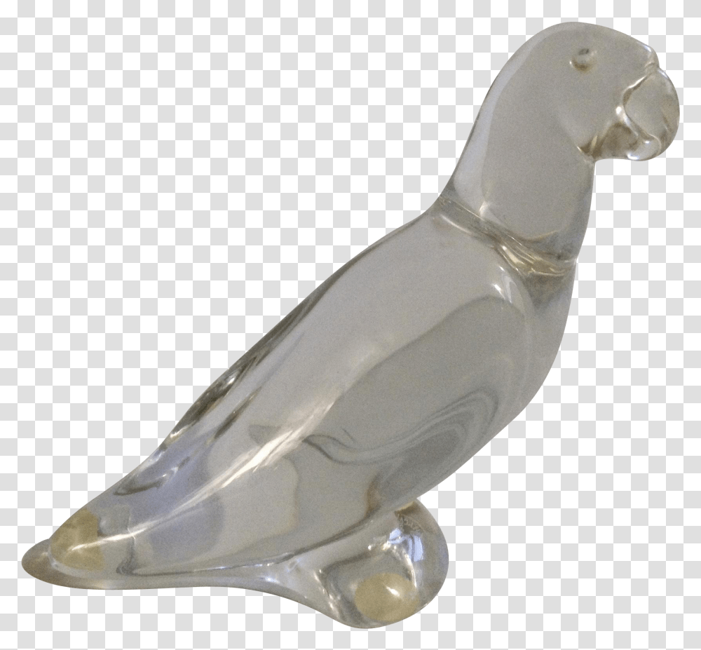 Vintage Baccarat Crystal Clear Glass Parrot Bird Figurine African Grey, Animal, Invertebrate, Sea Life, Conch Transparent Png