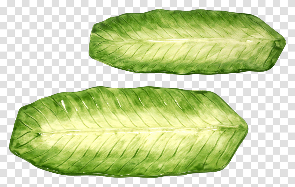 Vintage Banana Leaf Platters By Jay Willfred Transparent Png